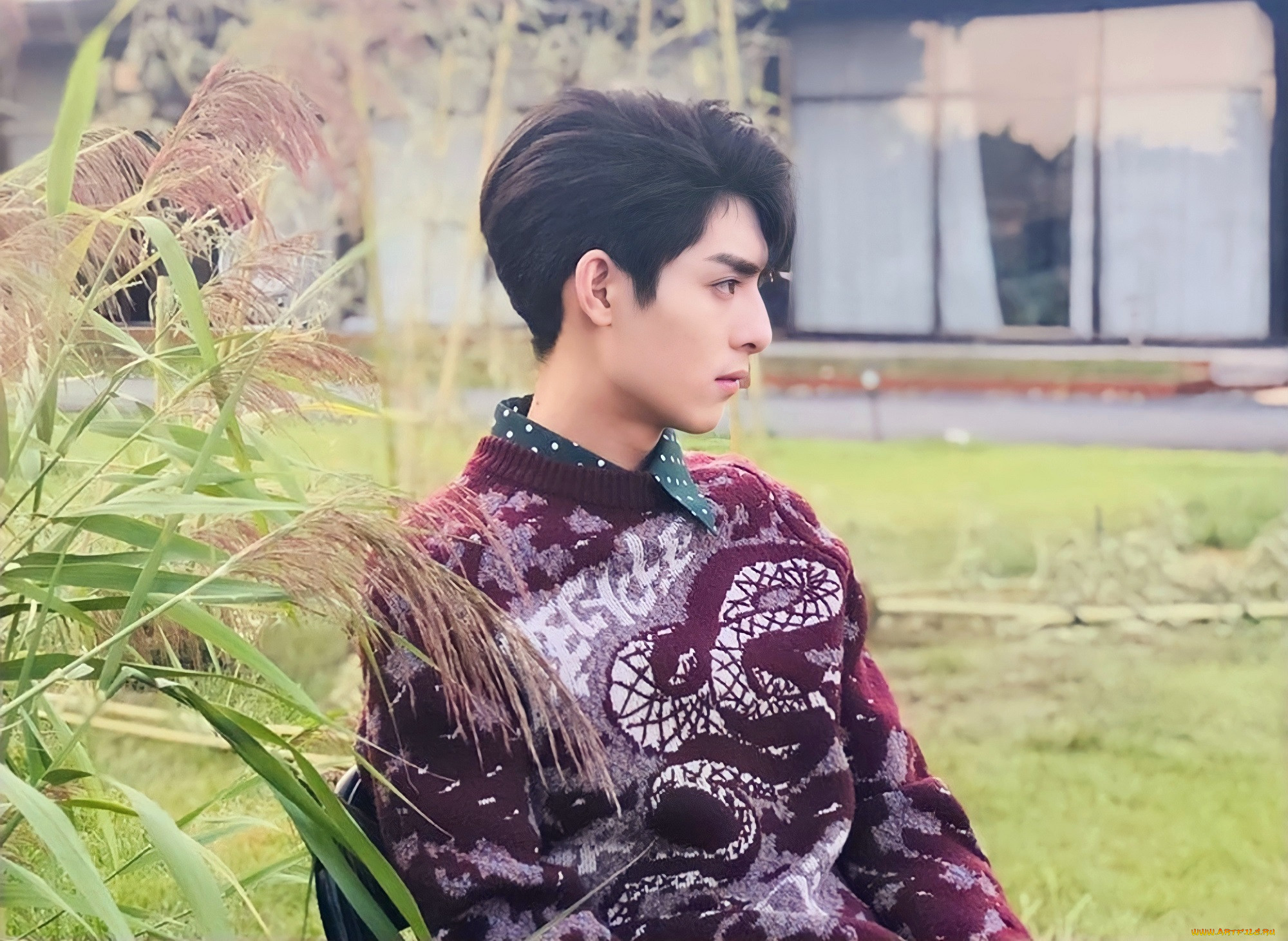 , wang hao xuan, , , 